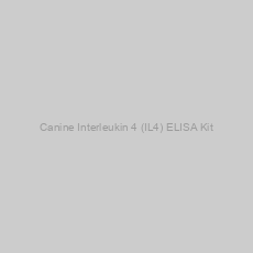 Image of Canine Interleukin 4 (IL4) ELISA Kit